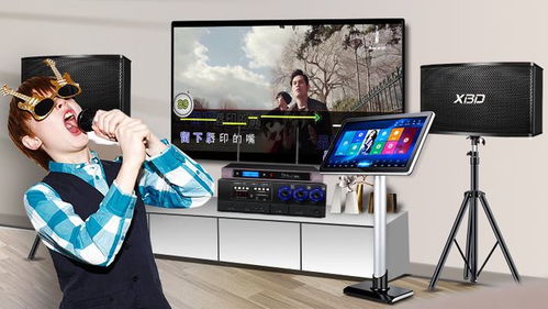 炫寶迪點(diǎn)歌機(jī)哪款型號(hào)更優(yōu)？音質(zhì)效果與評(píng)測(cè)全面解析